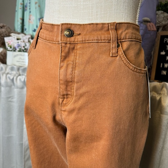 Belk Women's Skinny Pants in Rust - Picture 3 of 11